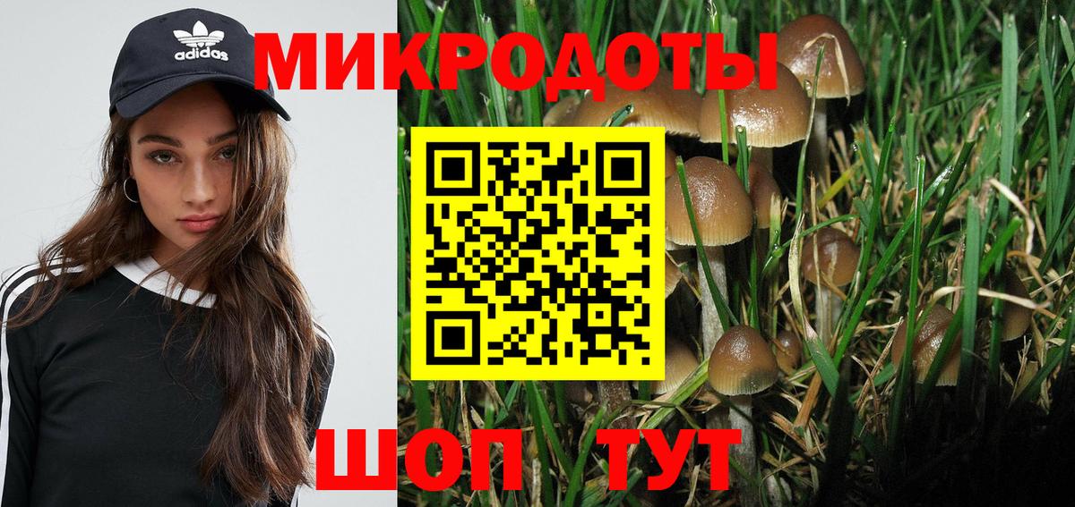 Северск  Галлюциногенные грибы прущие грибы  Вход с VPN  Галлюциногенные грибы Psilocybine cubensis 