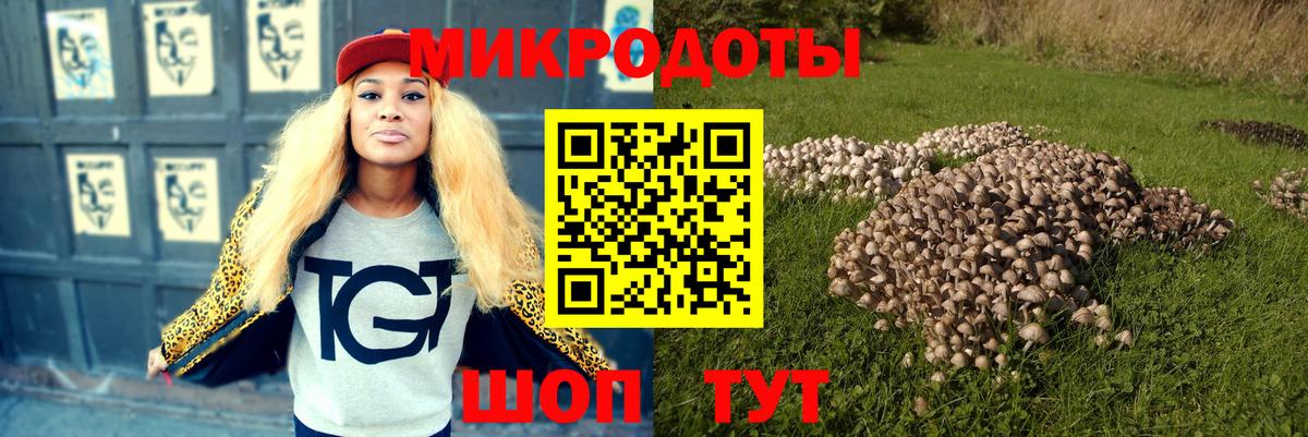 Псилоцибиновые грибы Psilocybine cubensis Северск