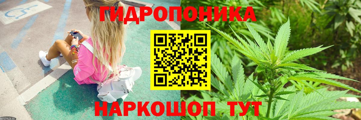 Марихуана White Widow  Каннабис Amnesia  Вход с VPN  Северск  Бошки марихуана OG Kush 